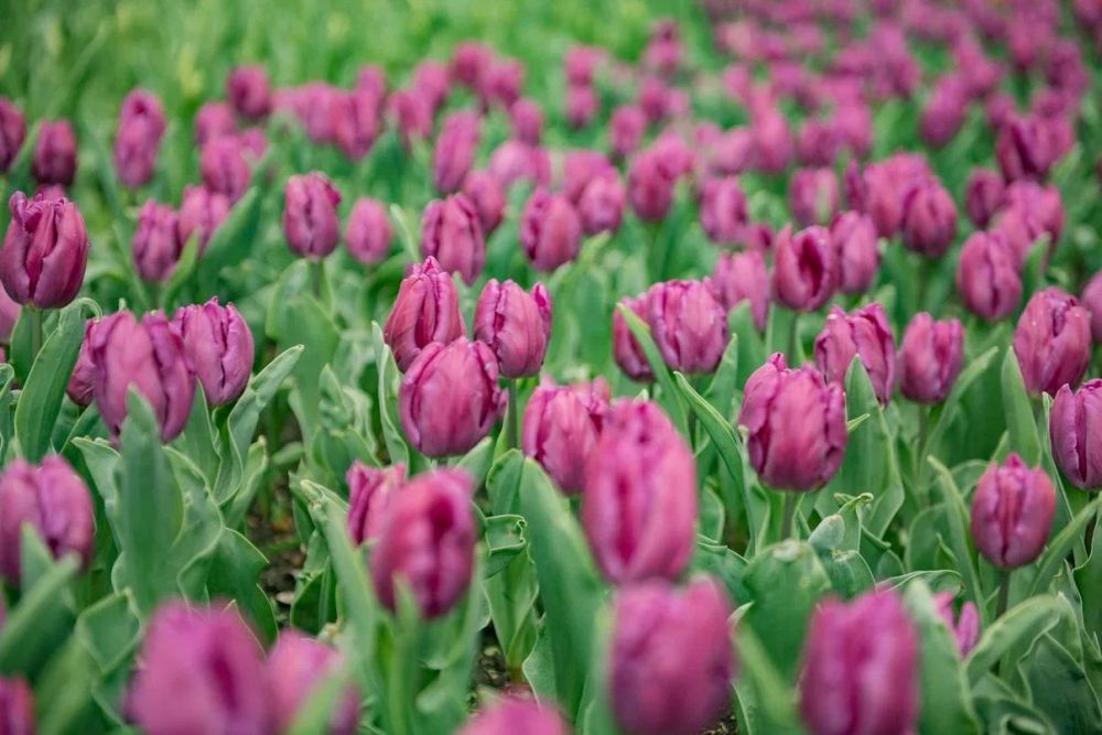 ����������.....������� ������!