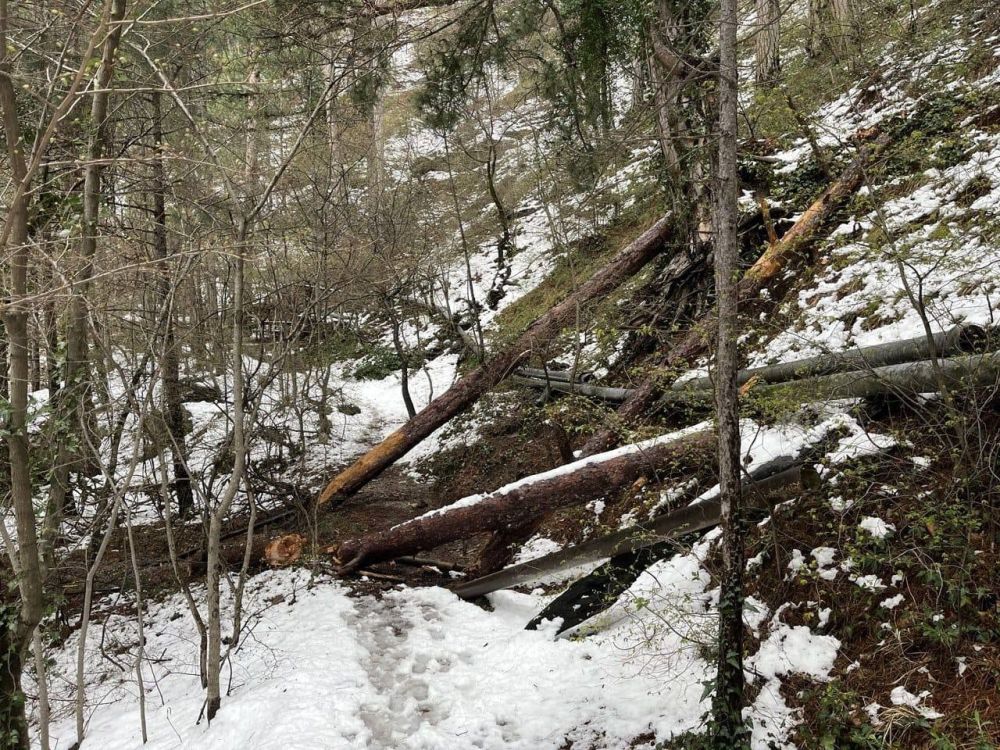 � ��������� ����������� ������� ������� ����� �������� �������.