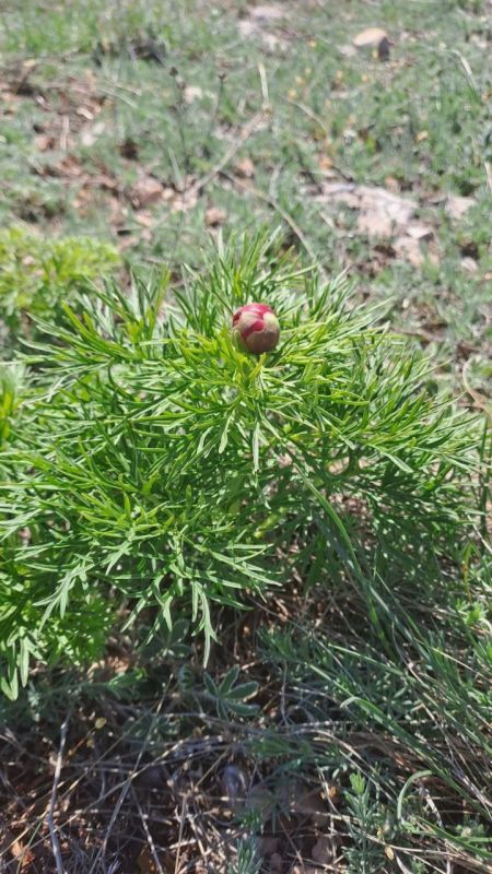 � ������ � ����������� ������ �����, � ����� ��������� �����