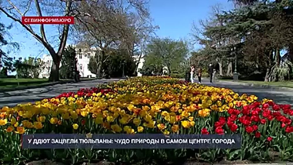 ����� ������ ����� ������ ������� � ������ �����������