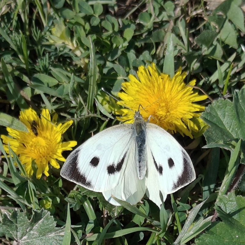 � ������ �����, ������!. � ����������� ��� �������