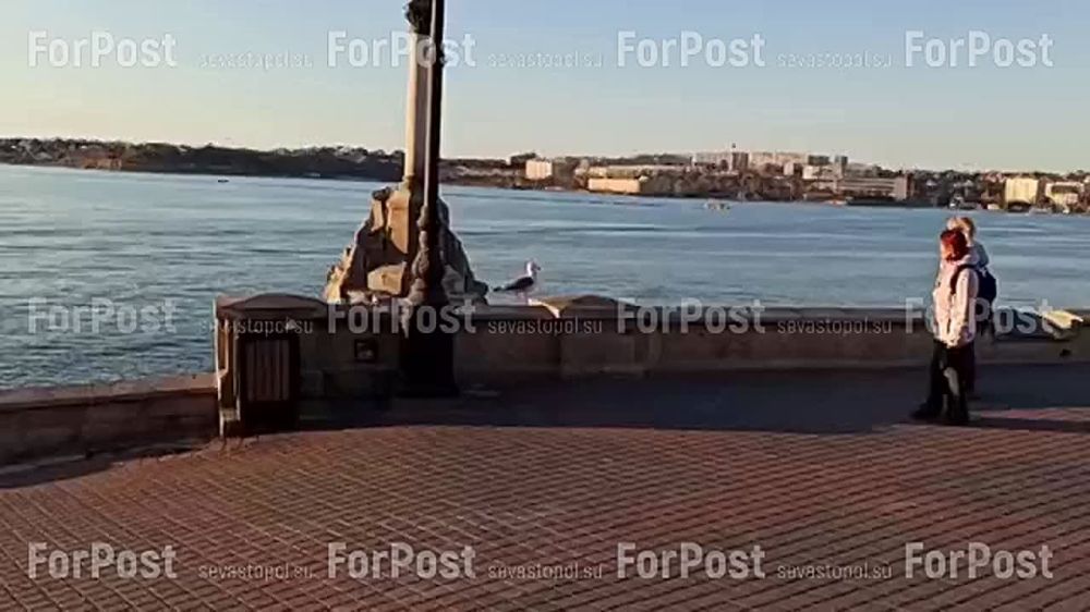 ���������� ��������������� ������ ����� �� �������