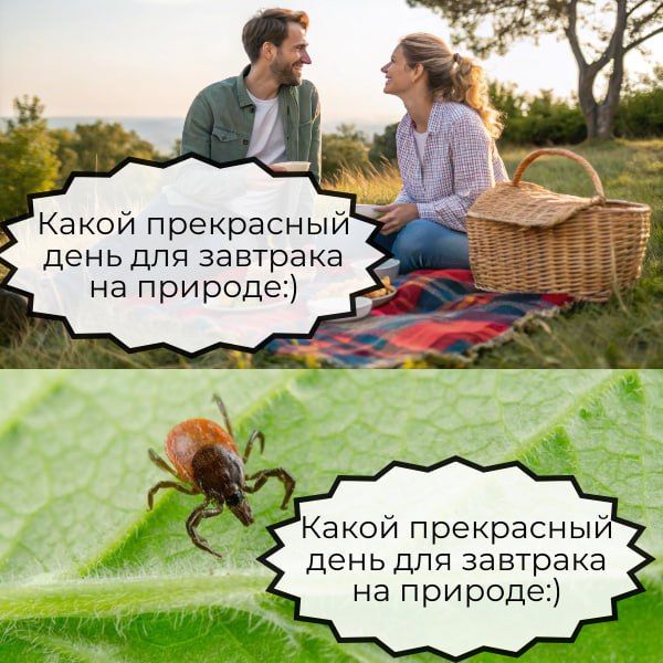 ���������� �������: ��� � ����������� ������� �������� �� ��������� ����������