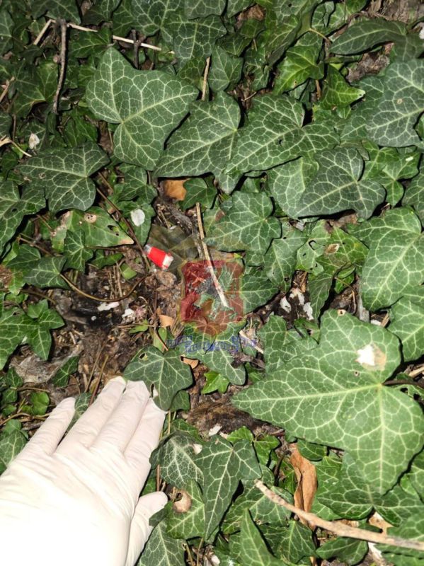 � ����������� ��������� ����������������