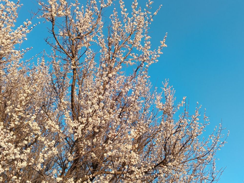 ������� ������ � ����� �� 17 ������