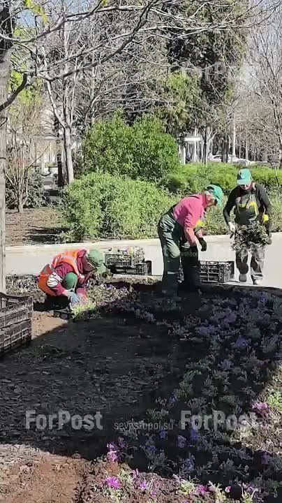 ����� ��������� �������� � ����� � �� ��������� ������� ��� ������� ��������