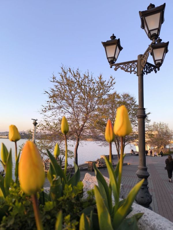 ������� ����, ������. � ����������� ��� �������