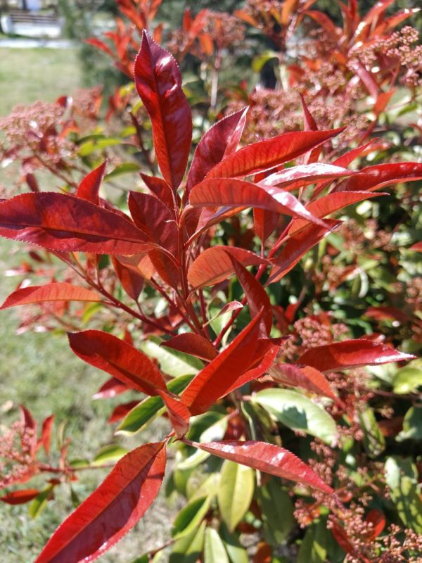 #��� ��� �� ��������