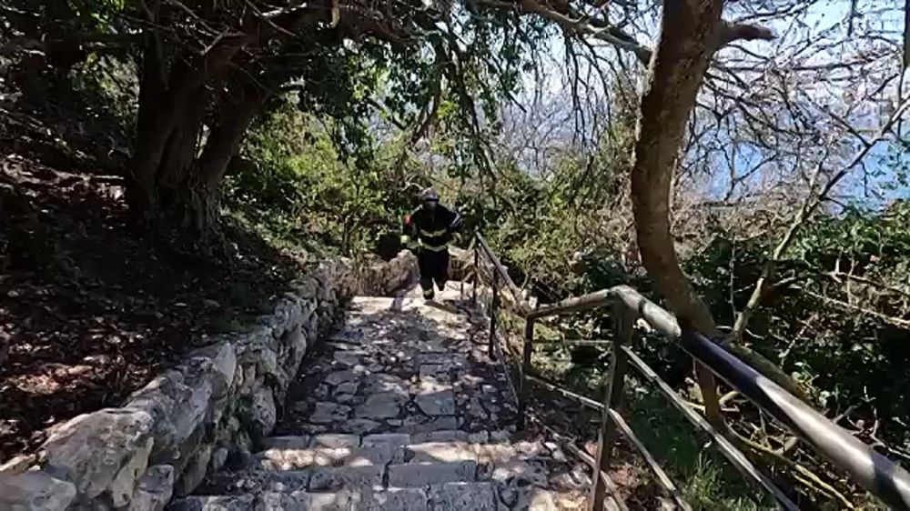 �������� ����������� ����� ������� ��������� ������������ �����