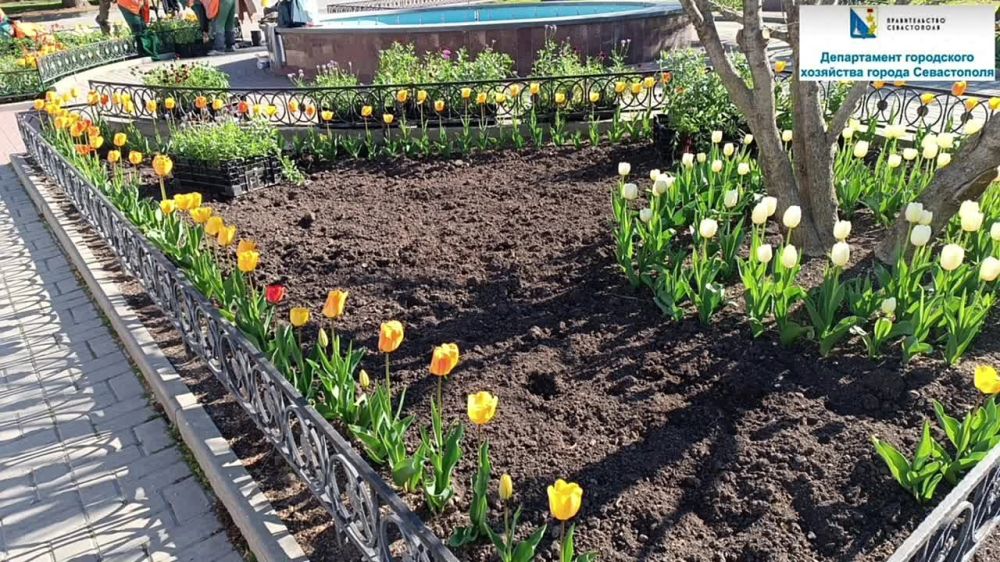 ������� ���������� ��� "����� � ������" ���������� �� ���������� �������� ������������