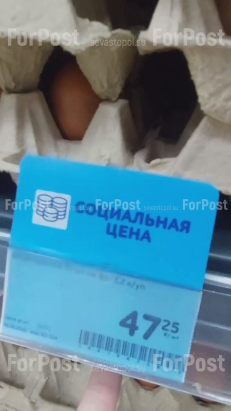 ���� � ����� ������������� ���������� � �� ������ ������������� ����� ����� ��������� �� ���� ����� 40 ������ �� �������