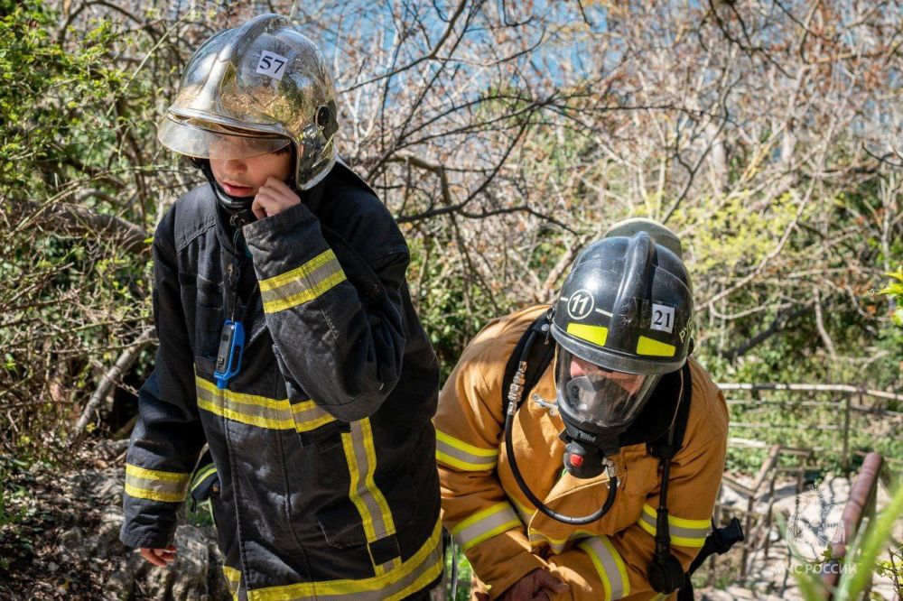 ��������������� ��������� ������� ������� � ��������������� ������������� "����������� �����"