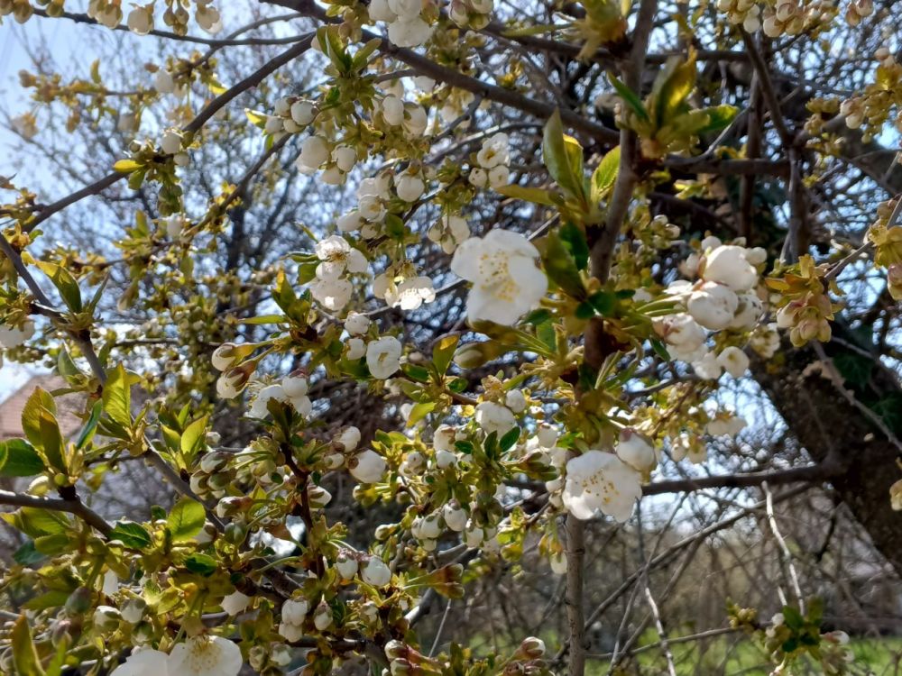 ������� ������ � ����� �� 18 ������