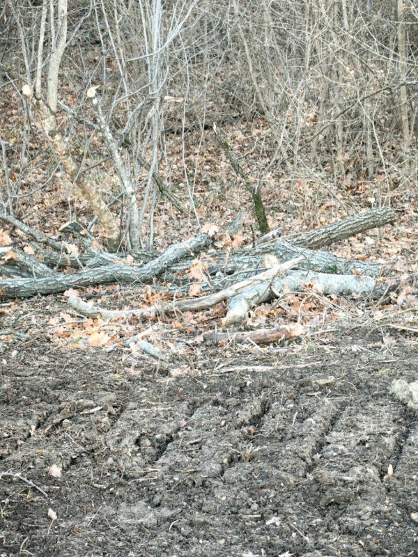 ������� �� �������� ���������������� ��� � ������� ����������� ������ ��������, ������������ ���������� ���������, ��������� ����������: