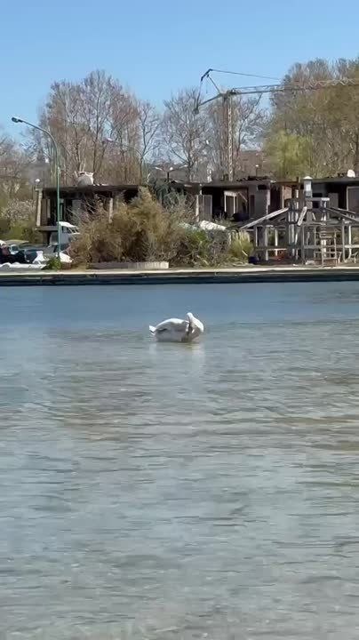 �������� ������� �� ������������� "������������ ������" ��������� ������ �� ����� �����