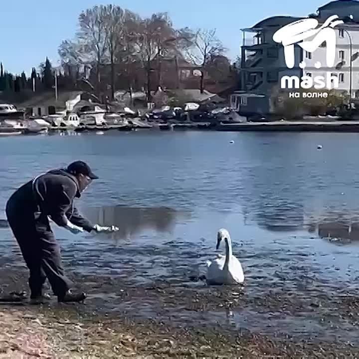 ������ � ������� ����� ������� � �����������