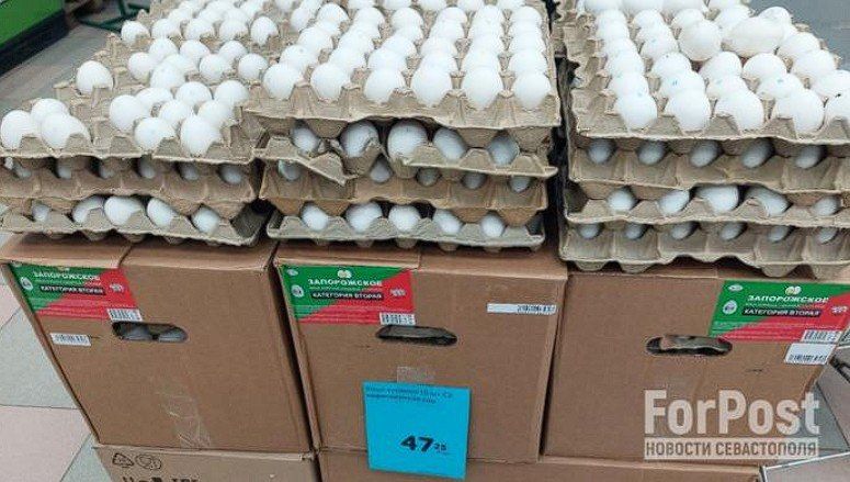 ���� � ����� ������������� ���������� � �� ������ ������������� ����� ����� ��������� �� ���� ����� 40 ������ �� �������