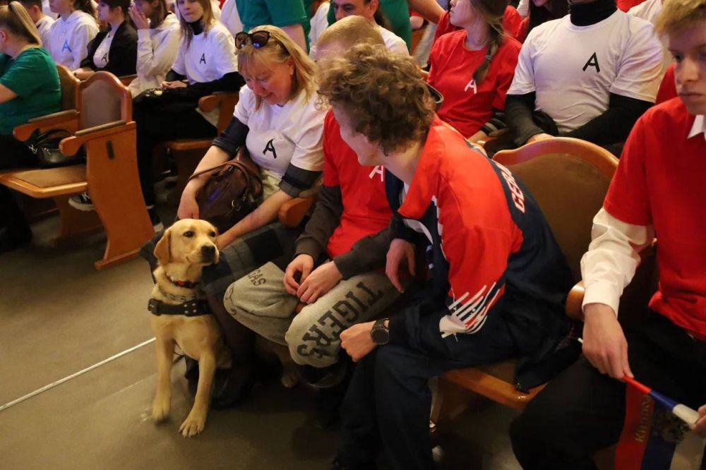 �������� ������� ������� � ����������� ����������� ���������� �� ����������������� ���������� �����������