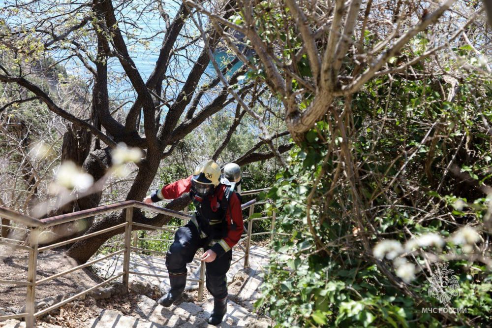 ��� ����������� ������������ ������������ �� ����������� ������� ������������ �����