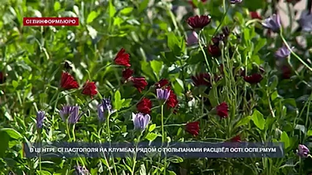 �� ��������������� ������� � ������ ������ �������� ������������ �������