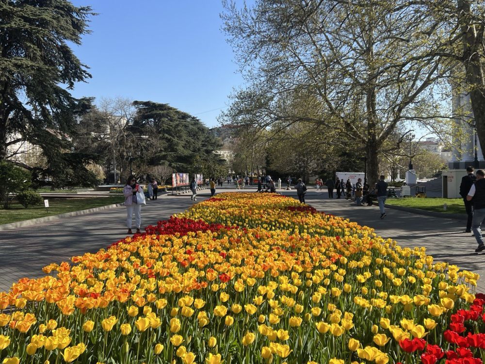 ���� ������ �������!. � ����������� ����� �����