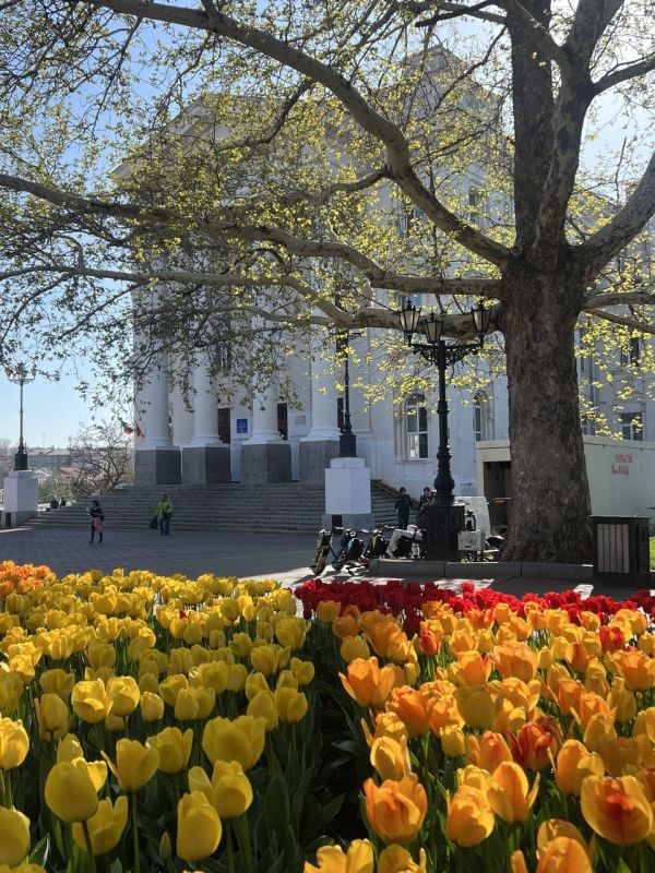 ���� ������ �������!. � ����������� ����� �����