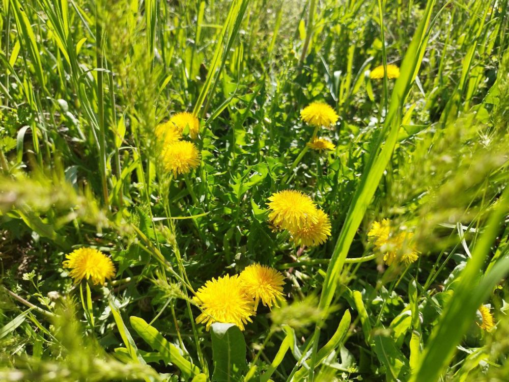 ������� ������ � ����� �� 19 ������