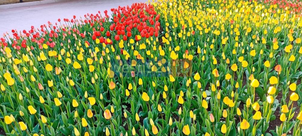 ������ ����, �����������! ������� ���������� � ������ ��������