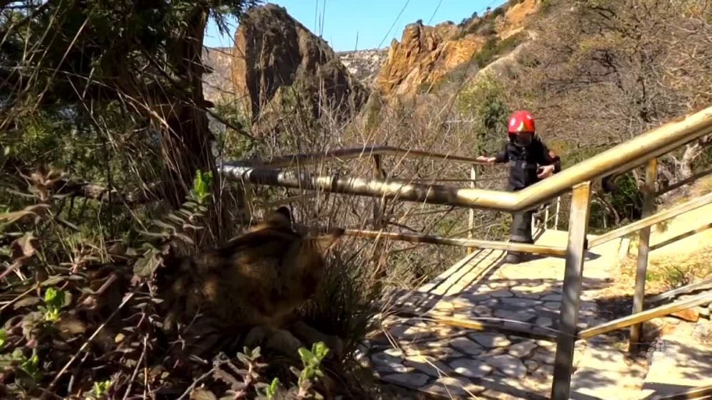 ��� ����������� ������������ ������������ �� ����������� ������� ������������ �����