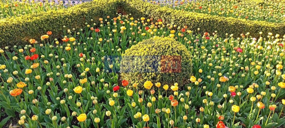 ������ ����, �����������! ������� ���������� � ������ ��������