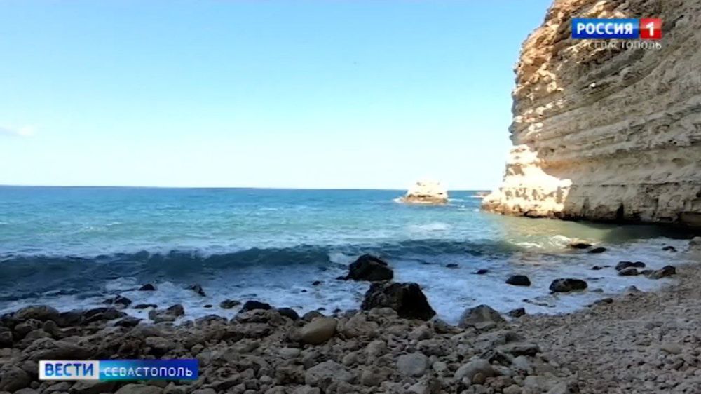 � ����������� �� ������� ��������� ������������ ���� � 3 ����, ��� � ������� ����