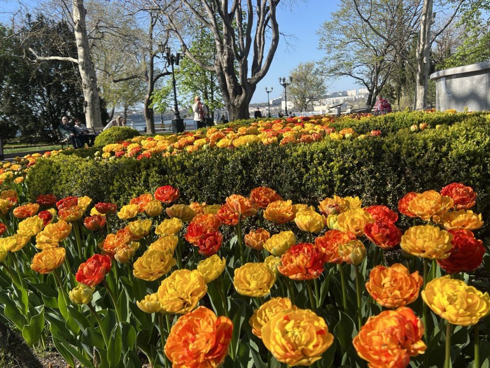 ���� ������ �������!. � ����������� ����� �����