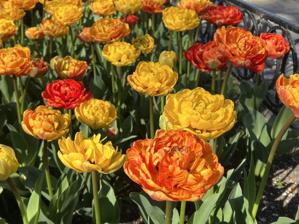 ���� ������ �������!. � ����������� ����� �����