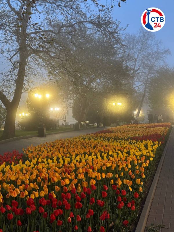 � �� �����, ��� ����� ��� ����� ����� ������