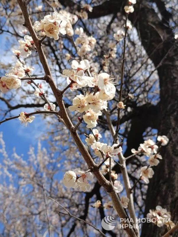 ������� ������ � ����� �� �������