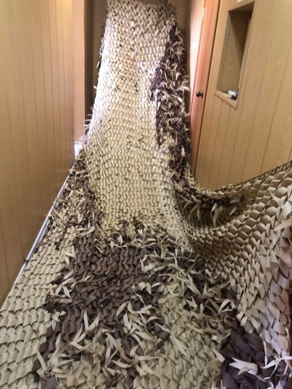 �� �����-���������� �� ��������� ���� ���������� ������ ������������� �������