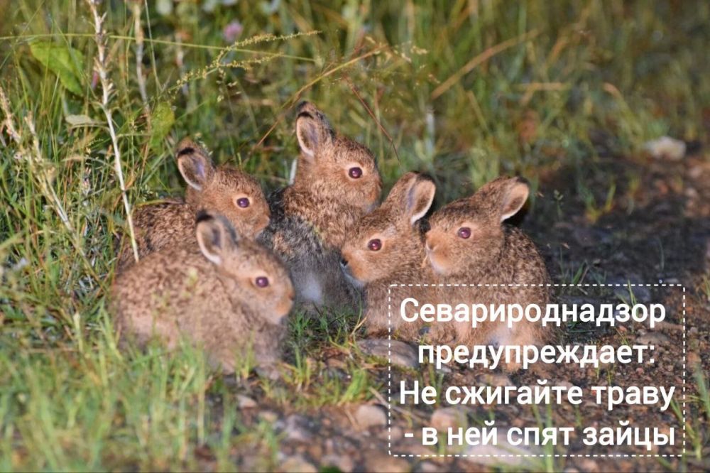 ����������� ��������� �������� � �������� ������������� � ���, ��� �������� ����� ����� ������������ ����� ��������� ��������, ������� �������� ���������� �� ���� ��������