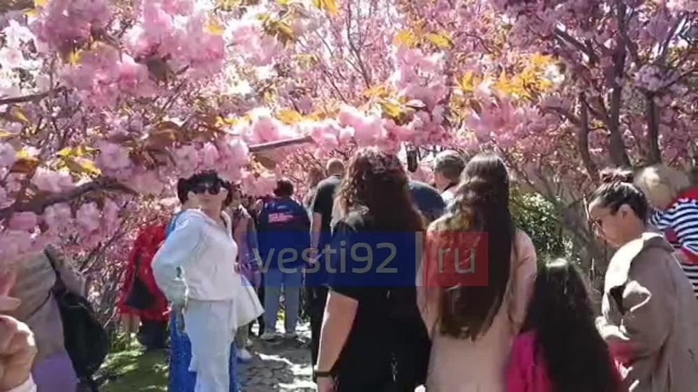 ��������� ������ �������� � ��� ��� �� ����� ������ �����