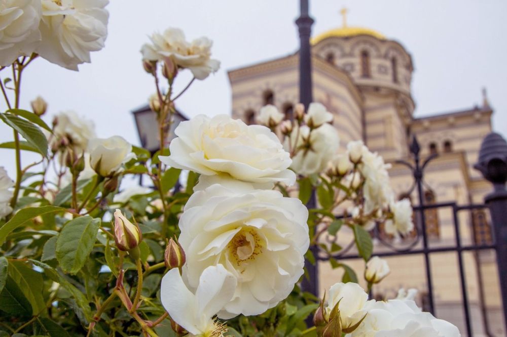 �� ������� ���������� ����������� ��������