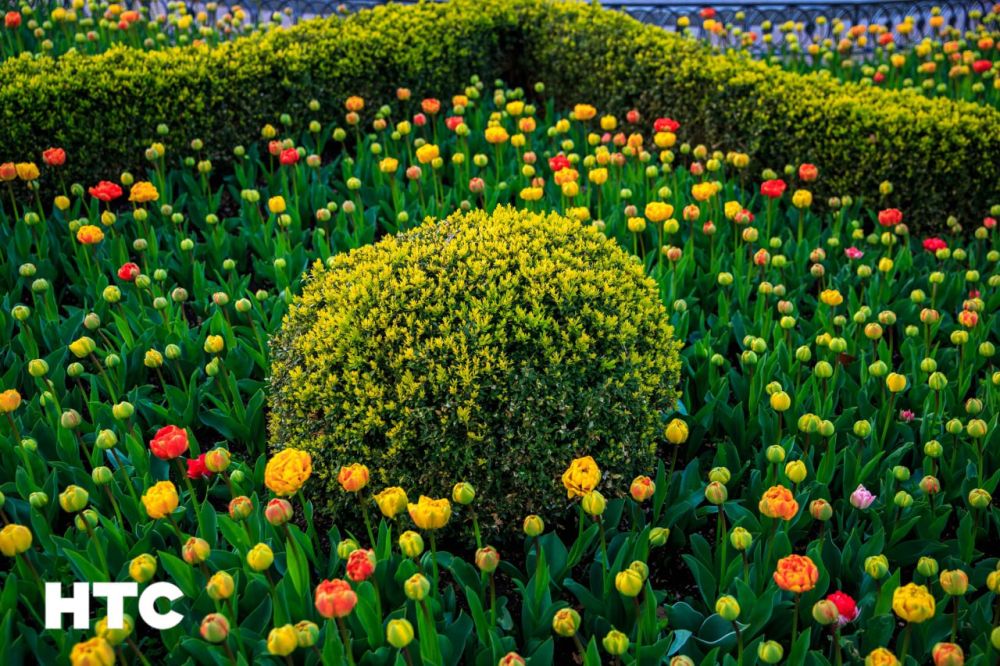 ����� �������� �������� ����������� ����� �����������!