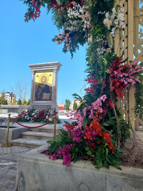 ������� ����������� �����������!