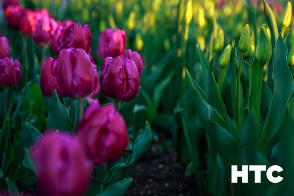 ����� �������� �������� ����������� ����� �����������!