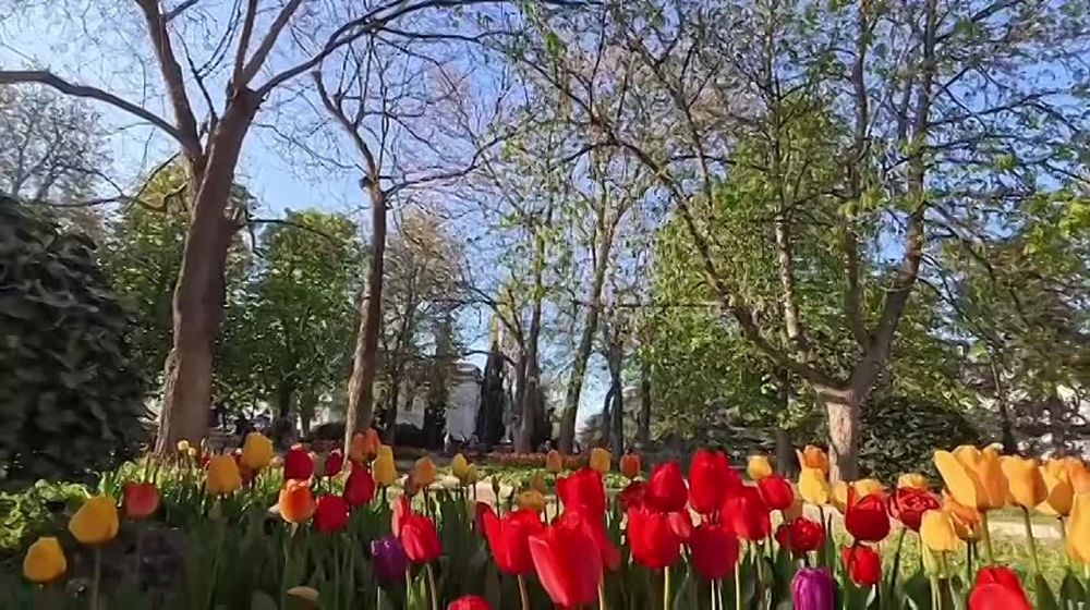 ����������� ���������� ������ ��������!