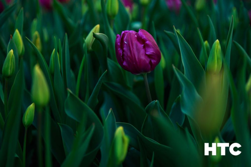 ����� �������� �������� ����������� ����� �����������!