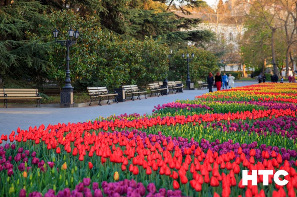 ����� �������� �������� ����������� ����� �����������!