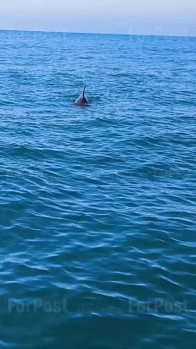 �� ������ � ��������� ������ �������