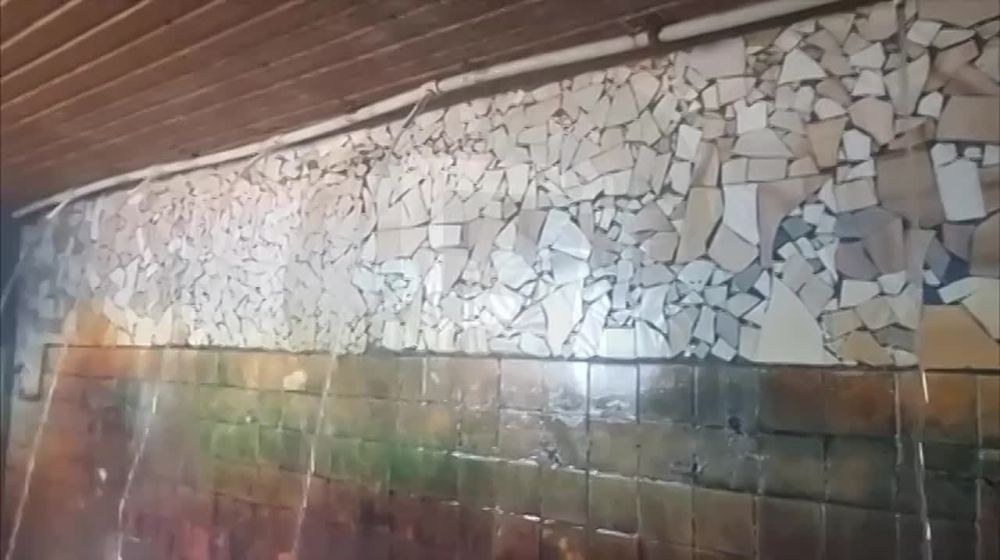 ���� �� �������� �������� ���� ���������� ��������