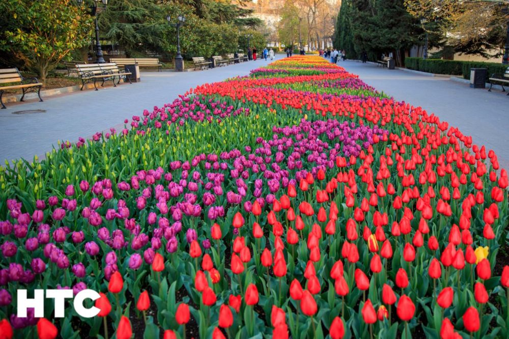 ����� �������� �������� ����������� ����� �����������!