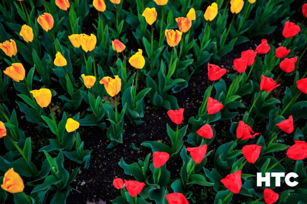 ����� �������� �������� ����������� ����� �����������!