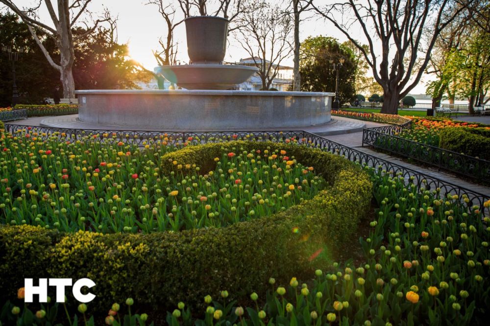 ����� �������� �������� ����������� ����� �����������!